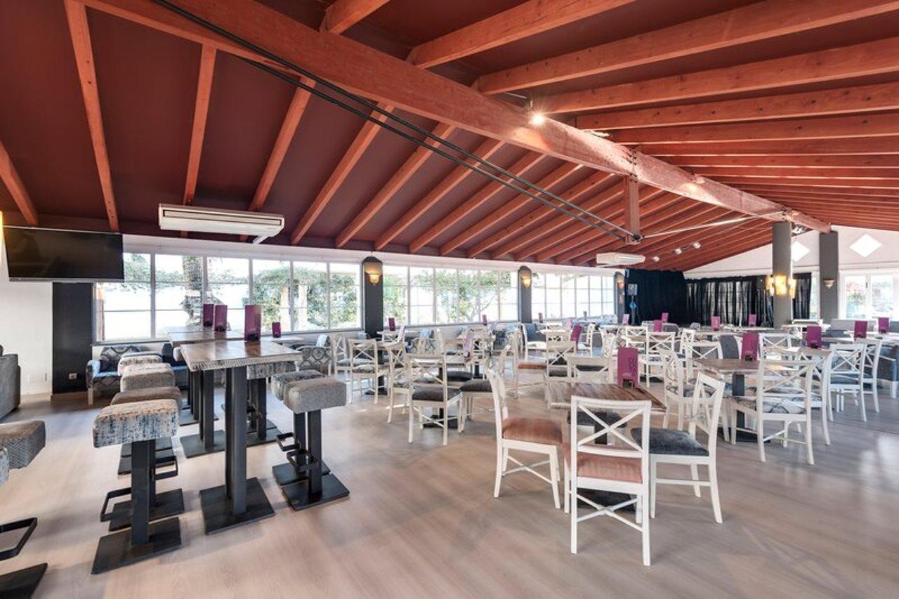 Palm Garden Port de Alcudia (Mallorca) Exterior foto