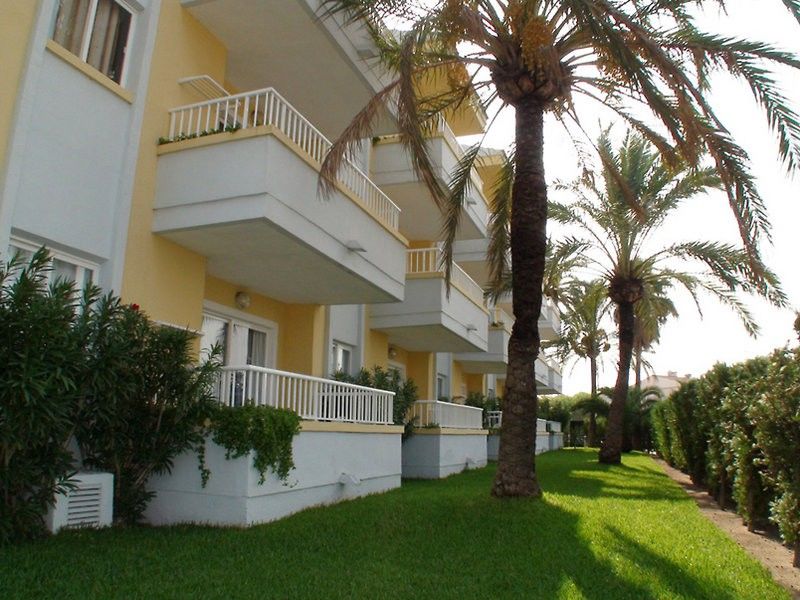 Palm Garden Port de Alcudia (Mallorca) Exterior foto